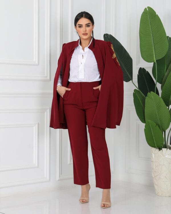 Maroon Embroidered suit - Image 3