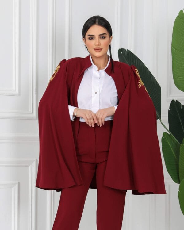 Maroon Embroidered suit - Image 4