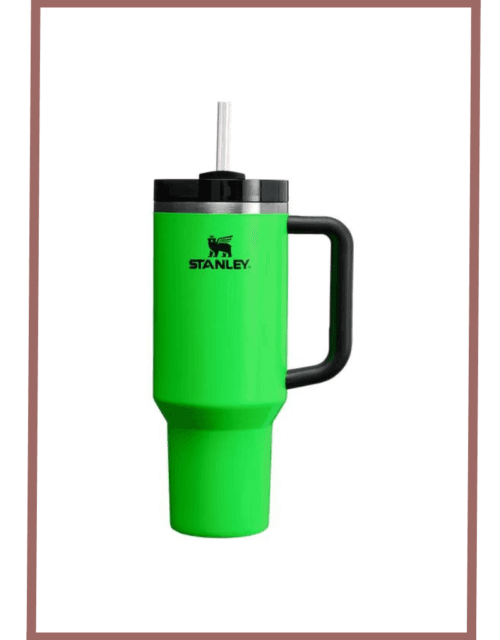 Stanley Thermo Water Bottle Quencher H2.0 - 40 Oz