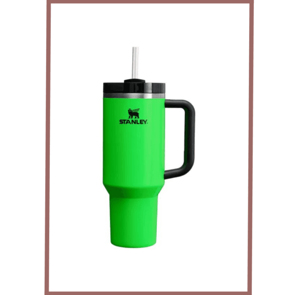 Stanley Thermo Water Bottle Quencher H2.0 - 40 Oz