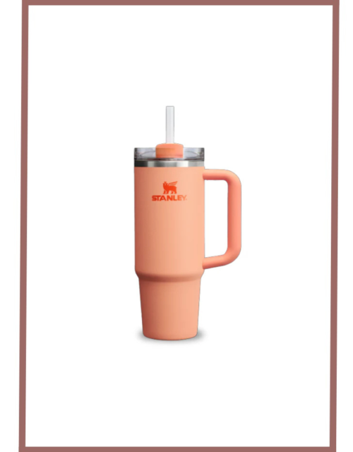 Stanley Quencher H2.0 Flowstate Tumbler(30 Oz)-Nectarine-Limited Edition (Asian Variant)