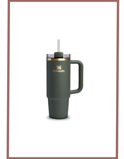 Stanley Quencher H2.0 Flowstate Tumbler(30 Oz)-Cypress-Limited Edition (Asian Variant)