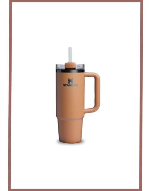 Stanley Quencher H2.0 Flowstate Tumbler(30 Oz)-Camel-Limited Edition (Asian Variant)