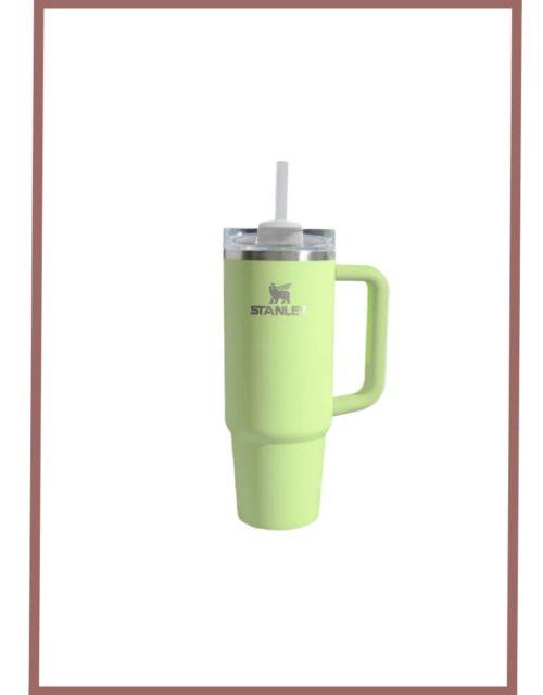 Stanley Quencher H2.0 Flowstate Tumbler(30 Oz)-Pale Lime-Limited Edition (Asian Variant)