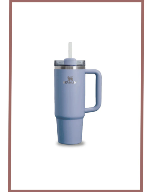 Stanley Quencher H2.0 Flowstate Tumbler(30 Oz)-Comforting Purple-Limited Edition (Asian Variant)