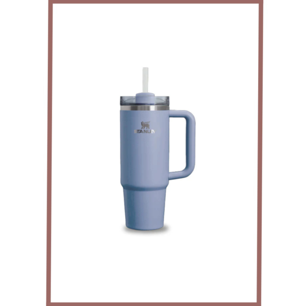 Stanley Quencher H2.0 Flowstate Tumbler(30 Oz)-Comforting Purple-Limited Edition (Asian Variant)