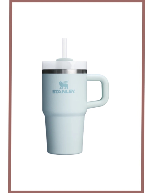 Stanley Quencher H2.0 Flow State Tumbler 20 Oz  591 Ml - Mist