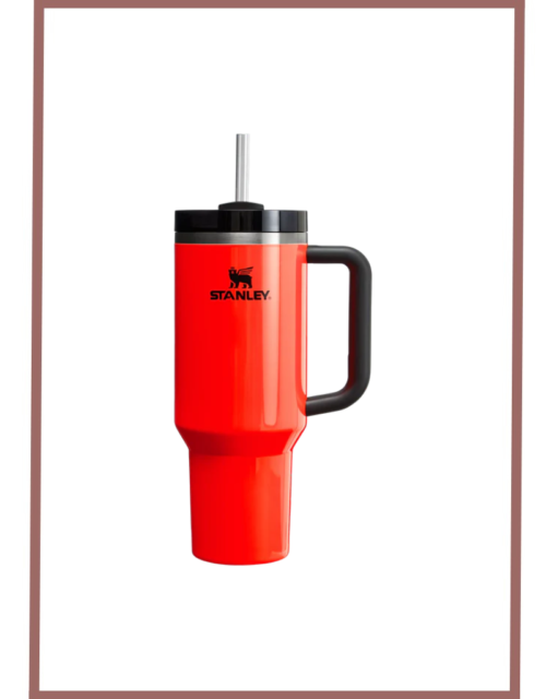 Stanley Thermo Water Bottle Quencher H2.0 Neon Orange 40 Oz