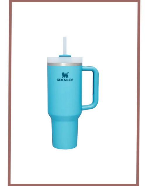 Stanley Quencher Tumbler 40 Oz Pool-Frost Lid-(Global Variant)