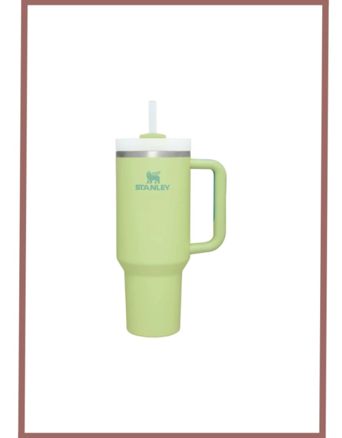 Stanley Quencher Tumbler 40 Oz Florescent Green-Frost Lid-(Global Variant)