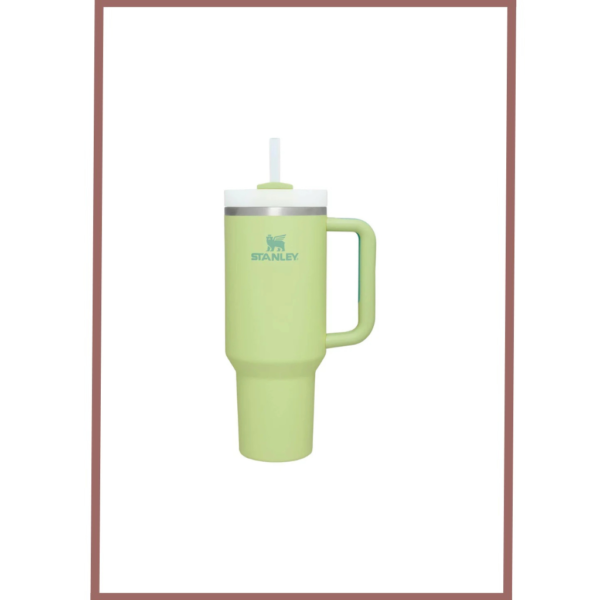 Stanley Quencher Tumbler 40 Oz Florescent Green-Frost Lid-(Global Variant)