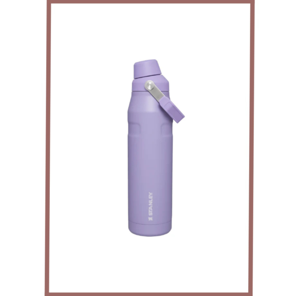 Stanley Iceflow Bottle With Fast Flow Lid 473 Ml(16 Oz) (Lavender)(Asian Variant)