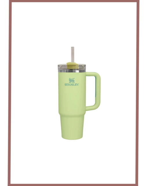 Stanley Quencher H2.0 Flow State Tumbler 30 Oz 887 Ml - Pomelo Green (Asian Variant)