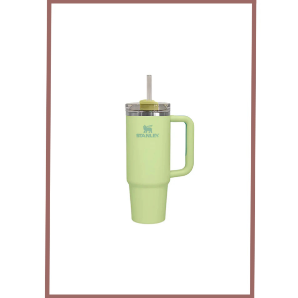 Stanley Quencher H2.0 Flow State Tumbler 30 Oz 887 Ml - Pomelo Green (Asian Variant)