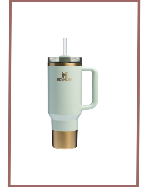 Stanley Quencher H2.0 Flowstate Tumbler(40 Oz)-Special Edition-Glided Celadon